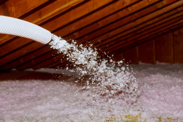 Best Energy Efficiency Solutions in Vivian, LA