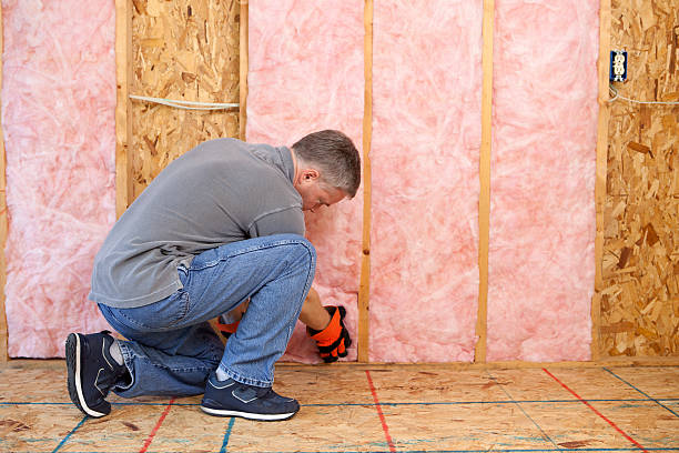 Best Insulation Maintenance and Repair in Vivian, LA