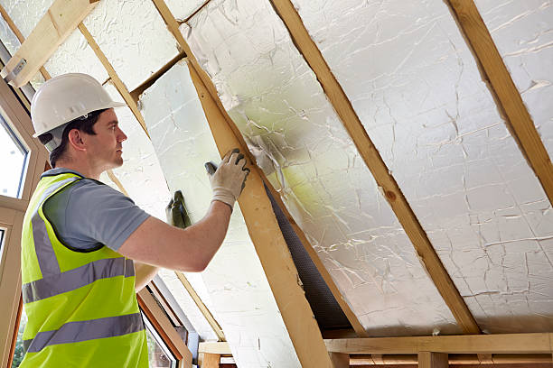 Best Insulation Maintenance and Repair in Vivian, LA